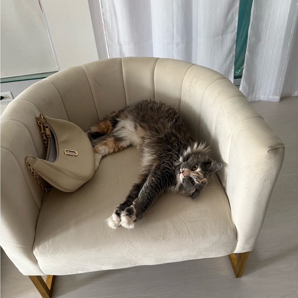 Meet your Posher, Quincy